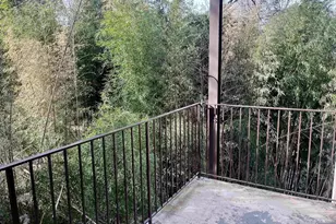 511 N First St, Charlottesville, VA 22902 - Photo 13