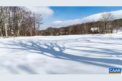 274 Laurel Springs Dr, Wintergreen, VA 22967 - Photo 57