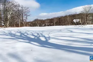 274 Laurel Springs Dr, Wintergreen, VA 22967 - Photo 57