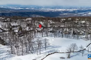 274 Laurel Springs Dr, Wintergreen, VA 22967 - Photo 53