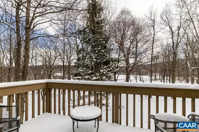 274 Laurel Springs Dr, Wintergreen, VA 22967 - Photo 69