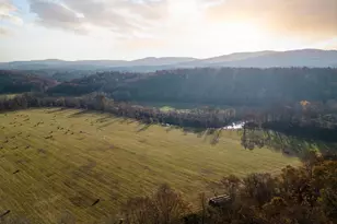 45 Miranda Crossing, Charlottesville, VA 22911 - Photo 9