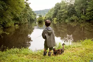 45 Miranda Crossing, Charlottesville, VA 22911 - Photo 11