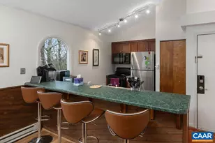 2224 Tanners Ridge Condos, Wintergreen, VA 22967 - Photo 3