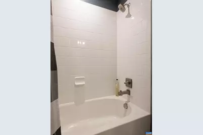 393 Winding Rd, Keswick, VA 22947 - Photo 31