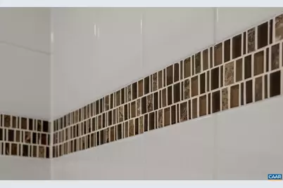 1516 Delphi Ln, Charlottesville, VA 22911 - Photo 57