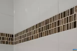 1516 Delphi Ln, Charlottesville, VA 22911 - Photo 57