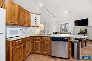 20 Red Cedar Ct, Wintergreen, VA 22967 - Photo 13