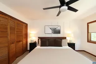 278 E Catoctin Dr, Wintergreen Resort, VA 22967 - Photo 47