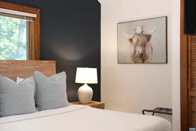 278 E Catoctin Dr, Wintergreen Resort, VA 22967 - Photo 53