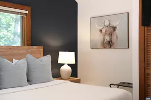 278 E Catoctin Dr, Wintergreen Resort, VA 22967 - Photo 53