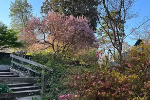 810 Tunlaw Pl, Charlottesville, VA 22903 - Photo 3