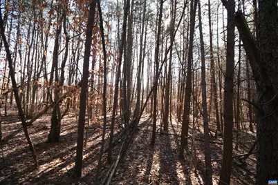 Tba Slate River Mill Rd #2.002 AC., Buckingham, VA 23921 - Photo 23