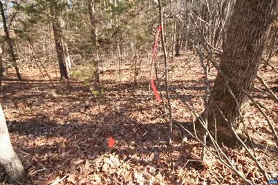 Tba Slate River Mill Rd #2.17 AC. SLATE RIVER, Buckingham, VA 23921 - Photo 21