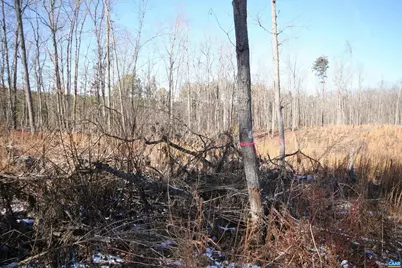 Tba Slate River Mill Rd #2.17 AC. SLATE RIVER, Buckingham, VA 23921 - Photo 19