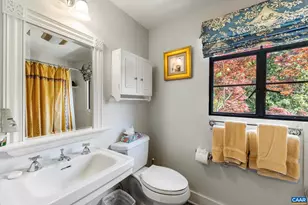 10127 Little Skyline Dr, Orange, VA 22960 - Photo 41