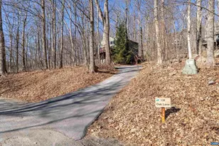 138 Oak Ln, Wintergreen Resort, VA 22967 - Photo 51