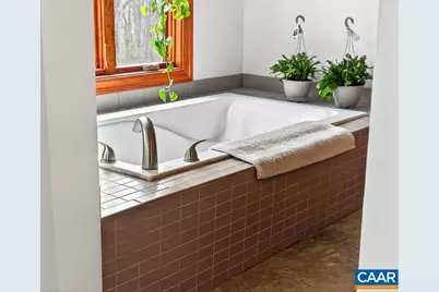 519 Foothills Dr, Nellysford, VA 22958 - Photo 49