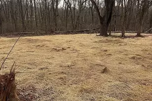 16033 Weakley Dr, Gordonsville, VA 22942 - Photo 3