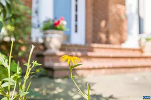 2420 Pendower Ln, Keswick, VA 22947 - Photo 61