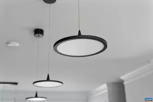 1234 Laconia Ln, Charlottesville, VA 22911 - Photo 21