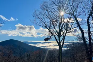 353 Crawfords Edge, Wintergreen Resort, VA 22967 - Photo 73