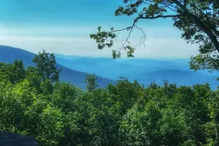 353 Crawfords Edge, Wintergreen Resort, VA 22967 - Photo 71