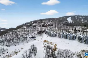 1448 Highlands Condos, Wintergreen, VA 22958 - Photo 37