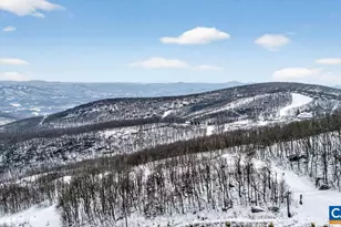 1448 Highlands Condos, Wintergreen, VA 22958 - Photo 35