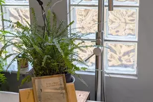 379 Cedar Meadow Dr, Nellysford, VA 22958 - Photo 35