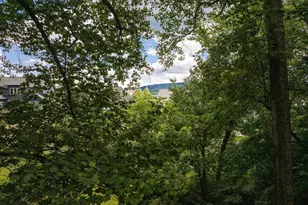 1234 Holmes Ave, Charlottesville, VA 22901 - Photo 69