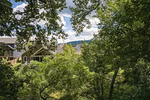 1234 Holmes Ave, Charlottesville, VA 22901 - Photo 67