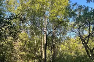 Tbd Stony Point Pass, Keswick, VA 22947 - Photo 1