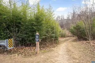 1204 Holmes Ave, Charlottesville, VA 22901 - Photo 49