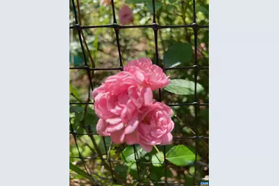 1211 Lanetown Rd, Crozet, VA 22932 - Photo 49