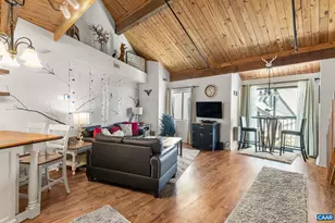 167 Mountain Inn Condos, Wintergreen Resort, VA 22967 - Photo 5