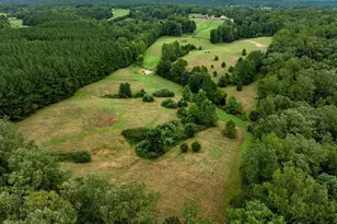 Tbd Watts Passage, Charlottesville, VA 22911 - Photo 11