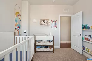 2138 Avinity Loop, Charlottesville, VA 22902 - Photo 27