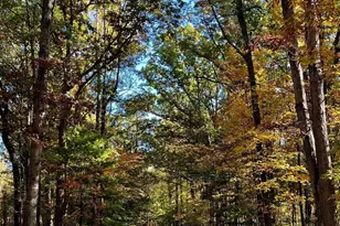 2482 Schelford Farm Rd, Charlottesville, VA 22901 - Photo 37