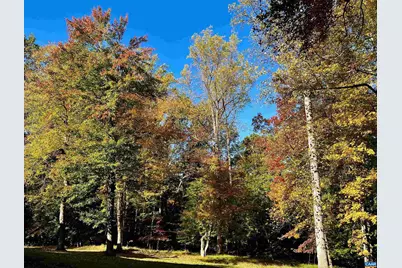 2482 Schelford Farm Rd, Charlottesville, VA 22901 - Photo 39