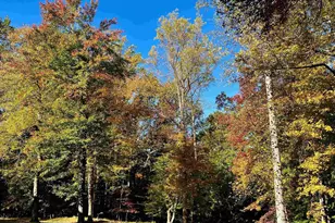 2482 Schelford Farm Rd, Charlottesville, VA 22901 - Photo 39