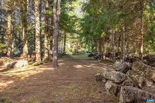 2402 Rock Branch Ln, North Garden, VA 22959 - Photo 69