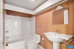 255 E Jefferson St, Charlottesville, VA 22902 - Photo 35