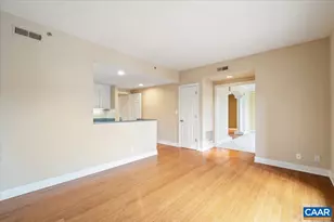 255 E Jefferson St, Charlottesville, VA 22902 - Photo 17