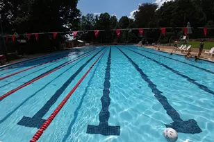 2520 Naylor St, Charlottesville, VA 22903 - Photo 43