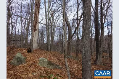 91 Shamokin Springs Trl, Wintergreen, VA 22958 - Photo 3