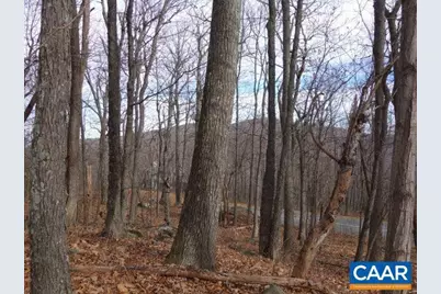 91 Shamokin Springs Trl, Wintergreen, VA 22958 - Photo 1