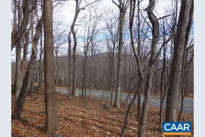 91 Shamokin Springs Trl, Wintergreen, VA 22958 - Photo 5