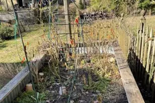 311 5th St SW, Charlottesville, VA 22902 - Photo 21