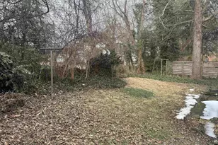 1115 E Jefferson St, Charlottesville, VA 22902 - Photo 11